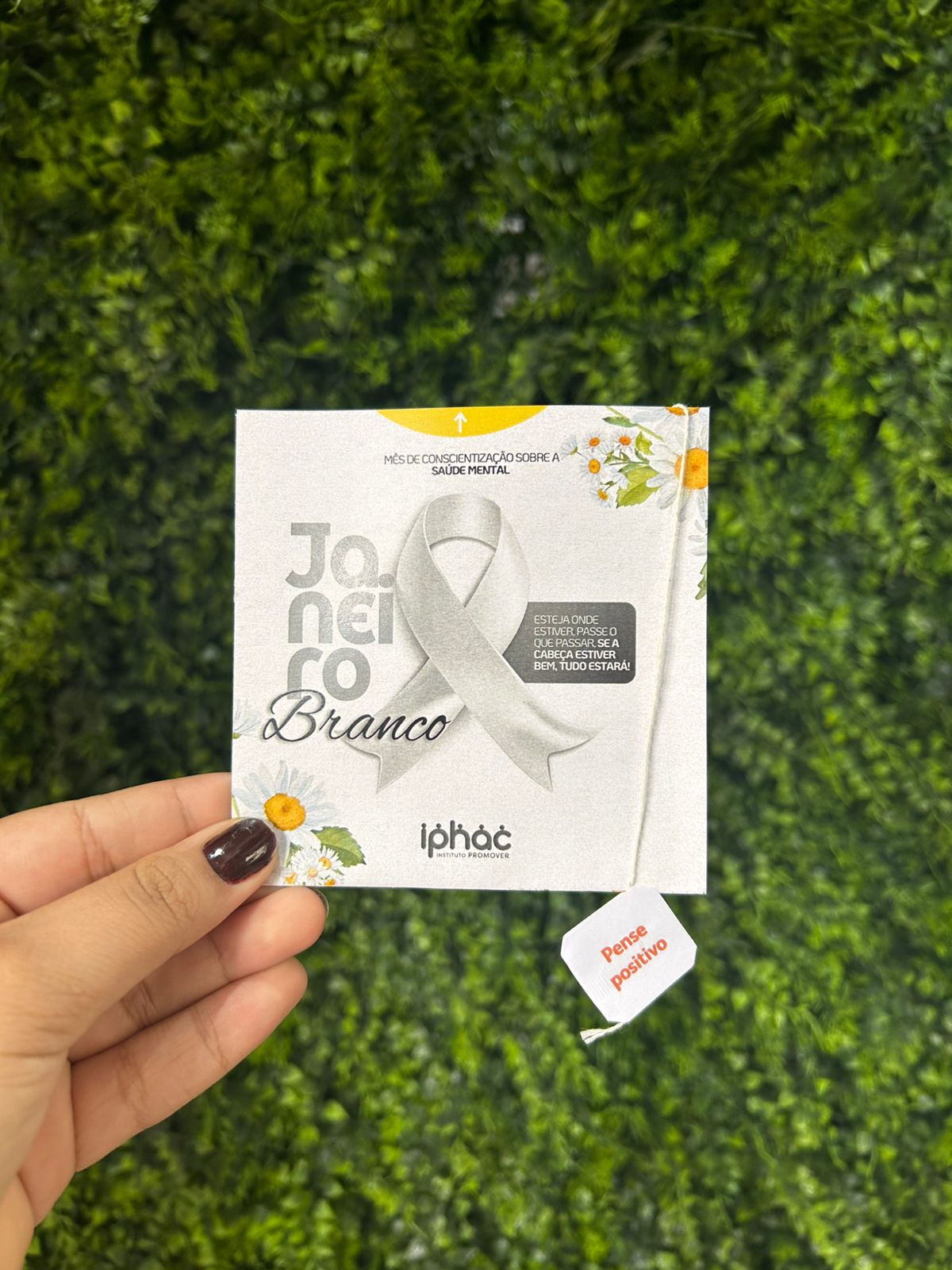 Iphac janeiro Branco